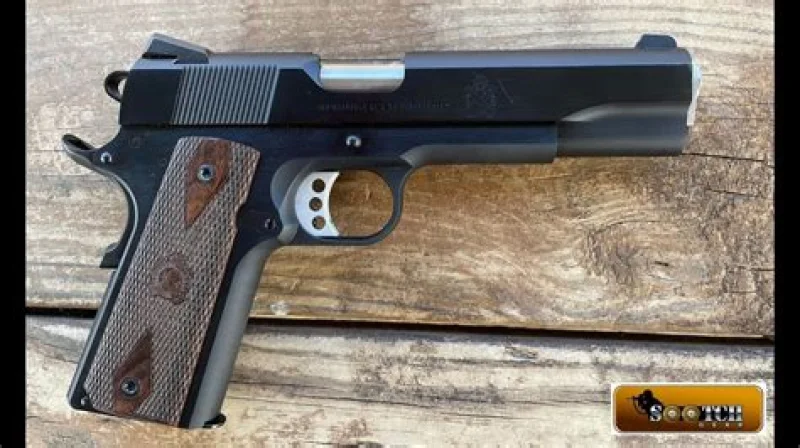 Springfield Armory 1911 Government .45 ACP
